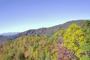 452 Wilderness Dr, Marion, NC 28752 - Photo 14