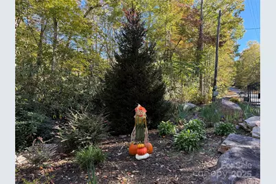 452 Wilderness Drive, Marion, NC 28752 - Photo 40