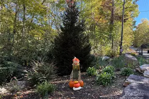 452 Wilderness Dr, Marion, NC 28752 - Photo 40