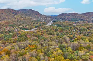 201 Cedarview Dr, Asheville, NC 28803 - Photo 42