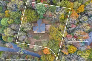 201 Cedarview Dr, Asheville, NC 28803 - Photo 2