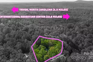 447 Cherokee Cir, Tryon, NC 28782 - Photo 6