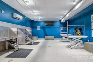 650 E Brooklyn Vlg Ave, Charlotte, NC 28202 - Photo 22