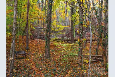 51 & 61 Rice Branch Road, Asheville, NC 28804 - Photo 46
