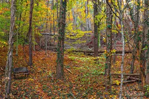 51 & 61 Rice Branch Rd, Asheville, NC 28804 - Photo 46