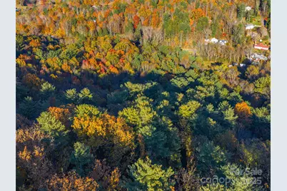 51 & 61 Rice Branch Road, Asheville, NC 28804 - Photo 42