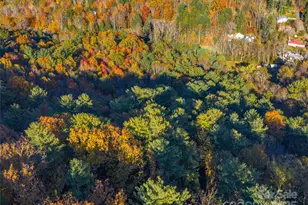 51 & 61 Rice Branch Rd, Asheville, NC 28804 - Photo 42