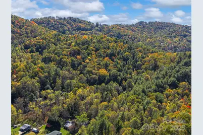 51 & 61 Rice Branch Road, Asheville, NC 28804 - Photo 38