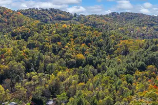 51 & 61 Rice Branch Rd, Asheville, NC 28804 - Photo 38