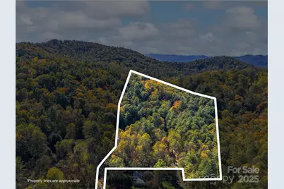 51 & 61 Rice Branch Road, Asheville, NC 28804 - Photo 40