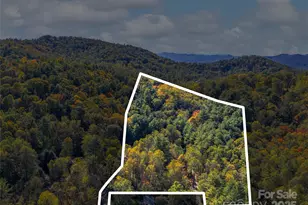 51 & 61 Rice Branch Rd, Asheville, NC 28804 - Photo 40