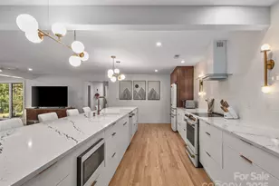 51 & 61 Rice Branch Rd, Asheville, NC 28804 - Photo 8