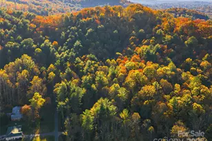 51 & 61 Rice Branch Rd, Asheville, NC 28804 - Photo 44