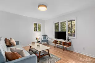 51 & 61 Rice Branch Rd, Asheville, NC 28804 - Photo 22