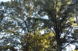 109 Hardin St, Chester, SC 29706 - Photo 22