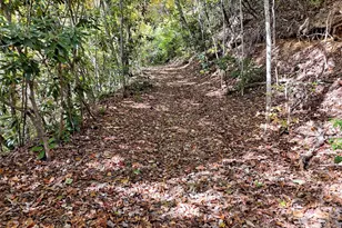 0 Mack Luke Rd, Whittier, NC 28789 - Photo 12