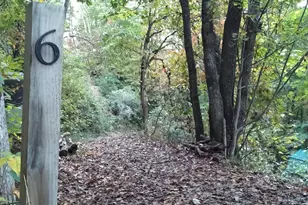 0 Mack Luke Rd, Whittier, NC 28789 - Photo 20