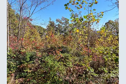 0 Mack Luke Road #6, Whittier, NC 28789 - Photo 8