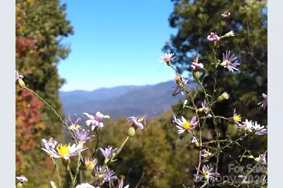 00 Mack Luke Road #7, Whittier, NC 28789 - Photo 12