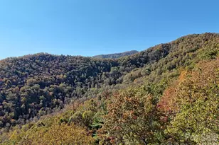 00 Mack Luke Rd, Whittier, NC 28789 - Photo 4