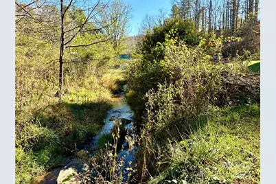 208 Murdock Road, Bakersville, NC 28705 - Photo 28