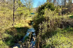 208 Murdock Rd, Bakersville, NC 28705 - Photo 28