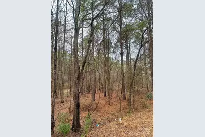 1176 Great Falls Highway, Chester, SC 29706 - Photo 2