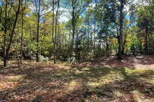 118 Vly Spgs Dr, Olin, NC 28660 - Photo 36