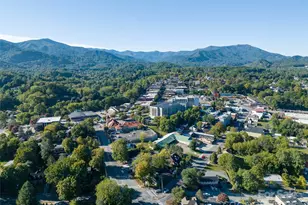 99 Walnut St, Waynesville, NC 28786 - Photo 28