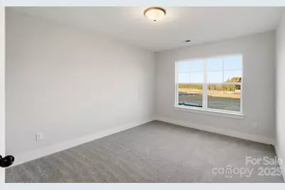 119 Viburnum Road, Waxhaw, NC 28173 - Photo 22