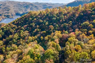 325 Hedgewood Dr, Tuckasegee, NC 28783 - Photo 38