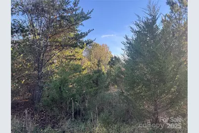 0 Bradley Road, Gaffney, SC 29341 - Photo 10