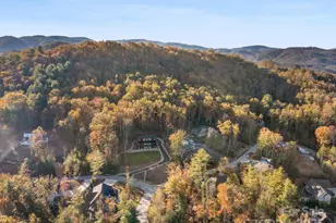 3 Erin Glen Ct, Fairview, NC 28730 - Photo 32