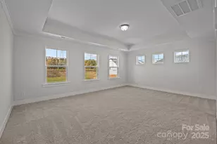 733 Sirius Ln, York, SC 29745 - Photo 6