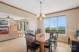 224 Elderberry Ridge Rd, Beech Mountain, NC 28604 - Photo 8