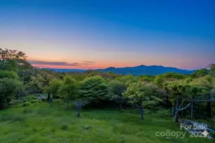 224 Elderberry Ridge Rd, Beech Mountain, NC 28604 - Photo 2