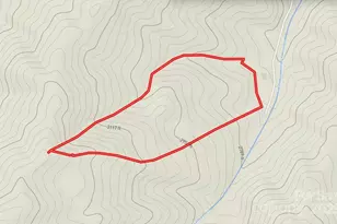 999 Cullisia Rd, Bryson City, NC 28713 - Photo 4