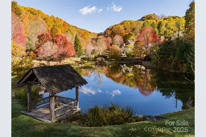 334 Foxden Road, Mars Hill, NC 28754 - Photo 36