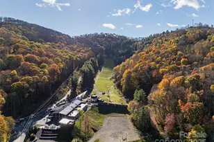 334 Foxden Rd, Mars Hill, NC 28754 - Photo 38