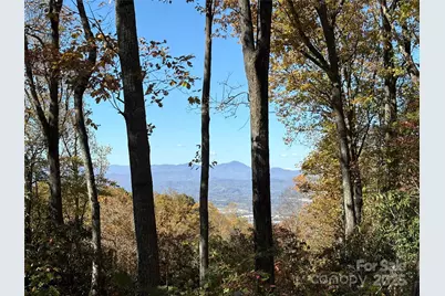 45 Trillium Garden Trail #Lot 29, Fletcher, NC 28732 - Photo 2