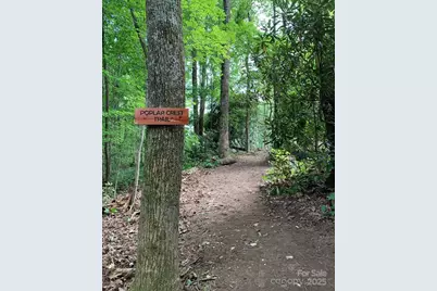 45 Trillium Garden Trail #Lot 29, Fletcher, NC 28732 - Photo 8