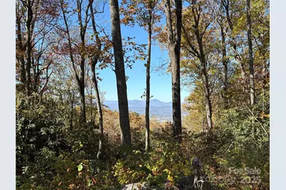 45 Trillium Garden Trail #Lot 29, Fletcher, NC 28732 - Photo 4