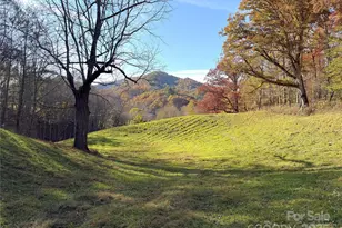 99 Thistle Ridge, Canton, NC 28716 - Photo 46