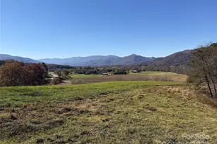 99 Thistle Ridge, Canton, NC 28716 - Photo 6