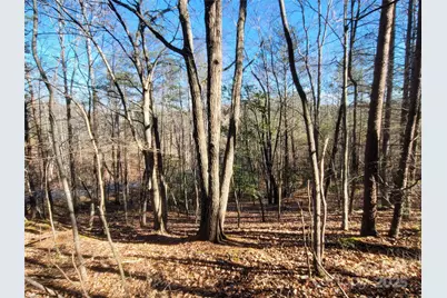 0 McOwenben Pass #18, Lake Lure, NC 28746 - Photo 6