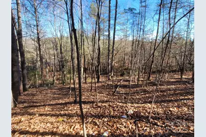 0 McOwenben Pass #18, Lake Lure, NC 28746 - Photo 10