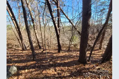 0 McOwenben Pass #18, Lake Lure, NC 28746 - Photo 4