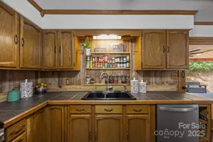263 Morgan Branch Rd, Leicester, NC 28748 - Photo 20