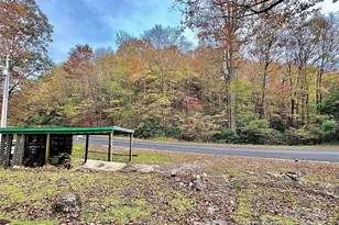 875 Carson Creek Rd, Brevard, NC 28712 - Photo 12