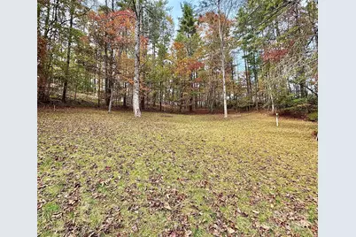 875 Carson Creek Road, Brevard, NC 28712 - Photo 8